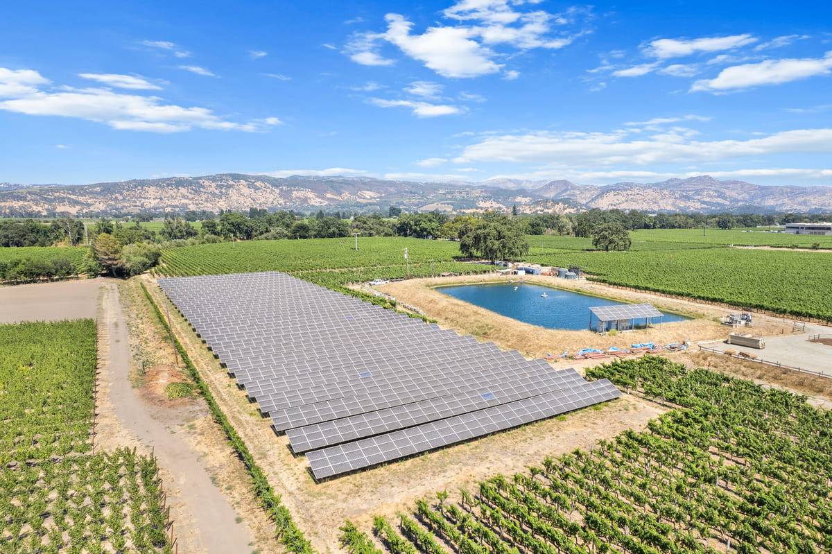 solar panels surrounded by vineyards