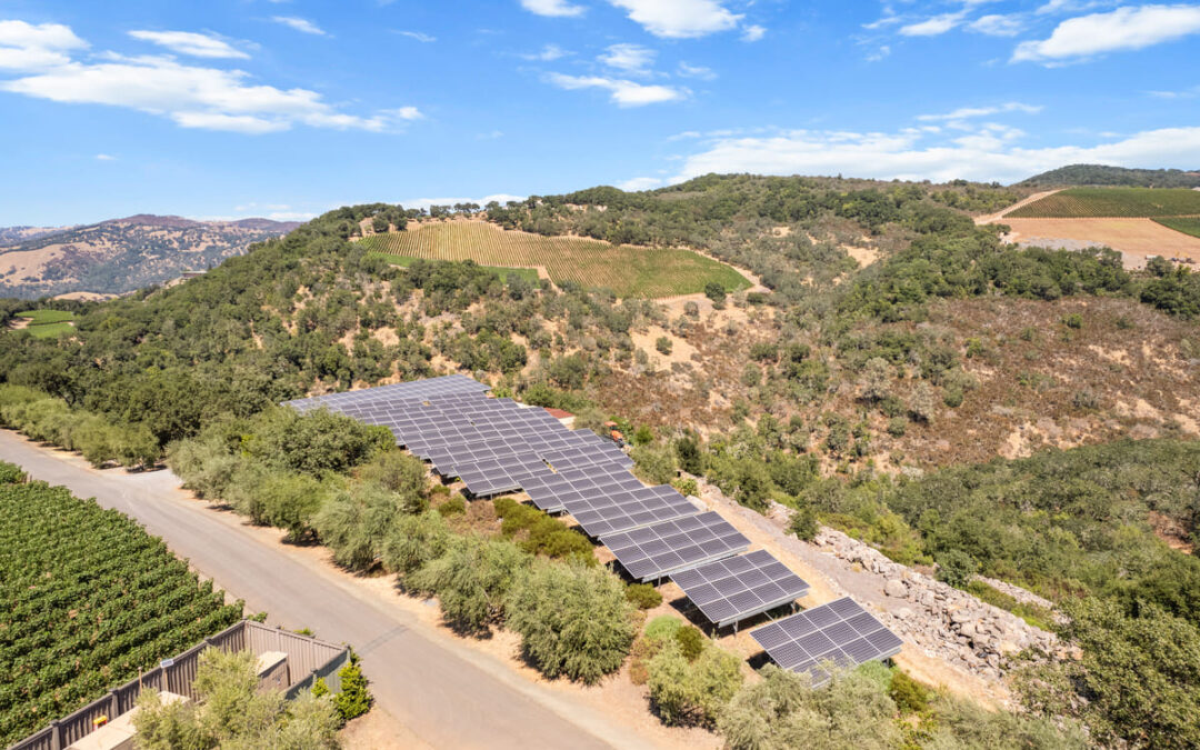 Colgin Cellars Solar