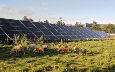 NEM 2.0 and PG&E’s Proposals – The timings they are a-changing